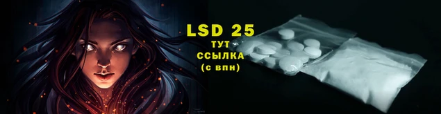 гидропоника Абинск