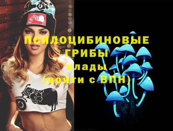 гидропоника Абинск