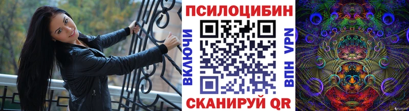 blacksprut маркетплейс  Тарко-Сале  Галлюциногенные грибы Psilocybe 